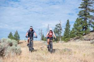 Diverse-Properties-Biking-1026