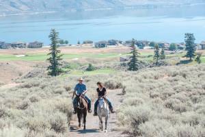Diverse-Properties-Horseback-7742