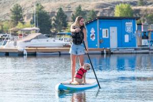 Diverse-Properties-SUP-8782